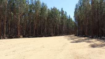 Farm Property for Sale - 260 Bells Lane Vasey VIC 3407