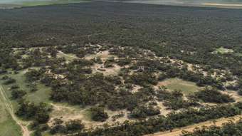 Farm Property for Sale - Allotment  Ridgway Road Lameroo SA 5302