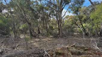 Farm Property for Sale -  Scotts Lane Wedderburn VIC 3518