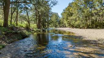 Farm Property for Sale - 902 Palmers Oakey Road Palmers Oaky NSW 2795