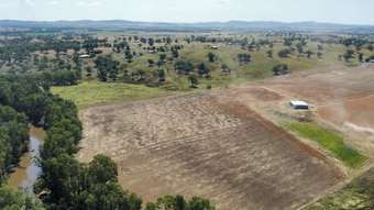 Farm Property for Sale -  Cultowa Road Canowindra NSW 2804