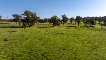 Farm Property for Sale - 156 Comatawa Road Tarcutta NSW 2652