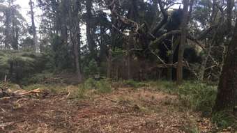 Farm Property for Sale - 82a Mount Street Dundurrabin Dorrigo NSW 2453