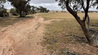 Farm Property for Sale - . &amp;apos;Greenhams Place&amp;apos; Gabbin WA 6476