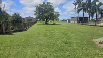 Farm Property for Sale - 49124 Bruce Highway Toobanna QLD 4850