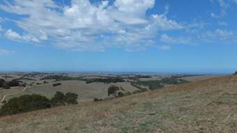 Farm Property for Sale - 70 Craig Road Ryanston VIC 3992