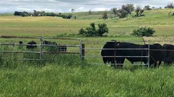 Farm Property for Sale - 4397 Mitchell Highway Orange NSW 2800