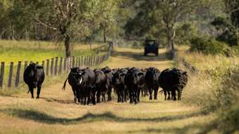 Farm Property for Sale - "Hi-V Hudson Road Felton QLD 4358