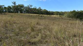 Farm Property for Sale - Lot 1 Old Gympie Road Owanyilla QLD 4650