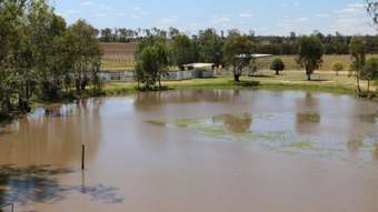 Farm Property for Sale - Jackson QLD 4426