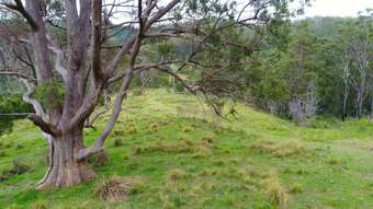 Farm Property for Sale - 80 Mount Street Dundurrabin NSW 2453