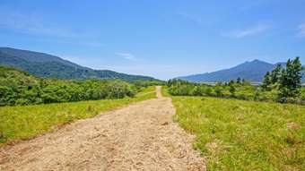 Farm Property for Sale - 307 Dalton Road Aloomba QLD 4871