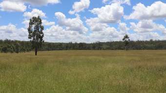 Farm Property for Sale - Lot 12 Deems Road Monogorilby QLD 4626