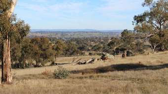 Farm Property for Sale - Lot 130, 1 Mutton Falls Road O'connell NSW 2795