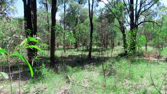 Farm Property for Sale - Lot 122 Upper Humbug Road Tara QLD 4421