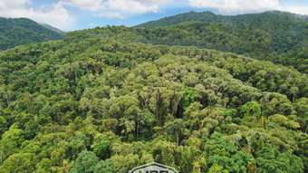 Farm Property for Sale - 100 Churchill Creek Road Julatten QLD 4871