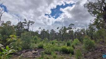 Farm Property for Sale - Lot 9  Belar Court  Millmerran Woods QLD 4357