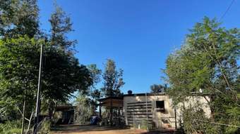 Farm Property for Sale - 15 Mcauliffes Road Booie QLD 4610