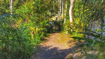 Farm Property for Sale - 904 Blue Knob Road Nimbin NSW 2480