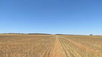 Farm Property for Sale - . KIAMA DOWNS, 1829 Peter Road Ambania WA 6632