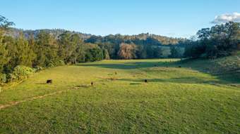 Farm Property for Sale - 1021 South Arm Road South Arm NSW 2449