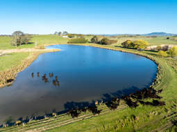 Farm Property for Sale - 110 & 136 Beneree Road Tallwood NSW 2798