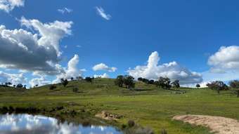 Farm Property for Sale - 85 Welshs Road Boho VIC 3669