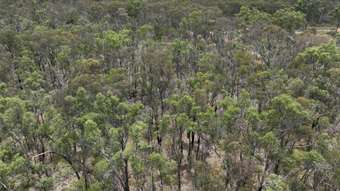 Farm Property for Sale - 96 Shawns Creek Road Coonabarabran NSW 2357