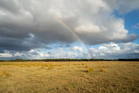 Farm Property for Sale - Lot 474 Yellanup Road Narrikup WA 6326