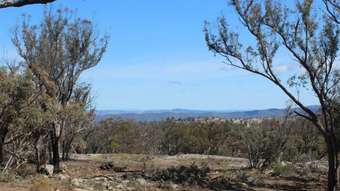 Farm Property for Sale - 1332 Mount McKenzie Road Tenterfield NSW 2372