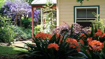 Farm Property for Sale - "Moss Old Coast Road North Dorrigo NSW 2453