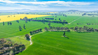 Farm Property for Sale -  Olympic Highway Yerong Creek NSW 2642