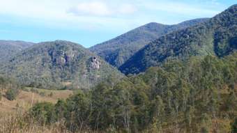 Farm Property for Sale -  Rocky River Road Rocky River NSW 2372