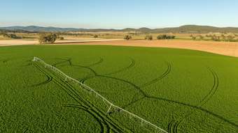 Farm Property for Sale - 1592 Casuarina Drive Gooloogong NSW 2805