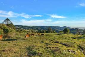 Farm Property for Sale - LOT 2 Maleny Kenilworth Road Witta QLD 4552