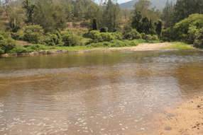 Farm Property for Sale - 2058 Rocky River Road Rocky River NSW 2372