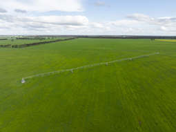 Farm Property for Sale - 1427 Naracoorte Road Bordertown SA 5268