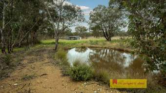 Farm Property for Sale - Mudgee NSW 2850