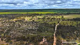 Farm Property for Sale - Lot 27382 Carter Road Meckering WA 6405