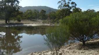 Farm Property for Sale - Lot 1 Serpentine-Wedderburn Road Wedderburn VIC 3518