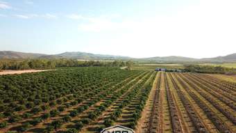 Farm Property for Sale - 67 East Dawson Road Mutchilba QLD 4872