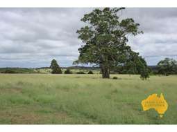 Farm Property for Sale - 1377 Dangore Mountain Road Dangore QLD 4610