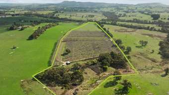Farm Property for Sale - 699 Ankers Road Strathbogie VIC 3666