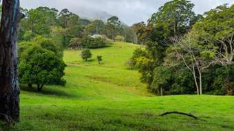 Farm Property for Sale - Bald Knob QLD 4552