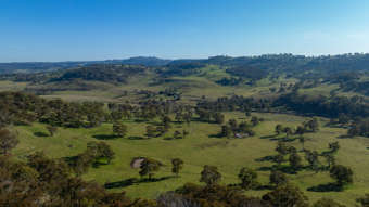 Farm Property for Sale - 'Brucelyn  453 & 504 Moredun Road Ben Lomond NSW 2365