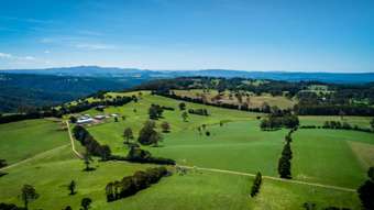 Farm Property for Sale - Dorrigo NSW 2453
