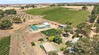 Farm Property for Sale - 82 Koop Creek Road (Springton Hills Wines) Springton SA 5235