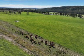 Farm Property for Sale - 710 Inverary Road Paddys River NSW 2577
