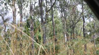 Farm Property for Sale - 156 Delaneys rd Horse Camp QLD 4671