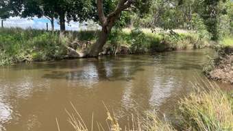 Farm Property for Sale - Proposed L Cactus Ridge Road Cunningham QLD 4370